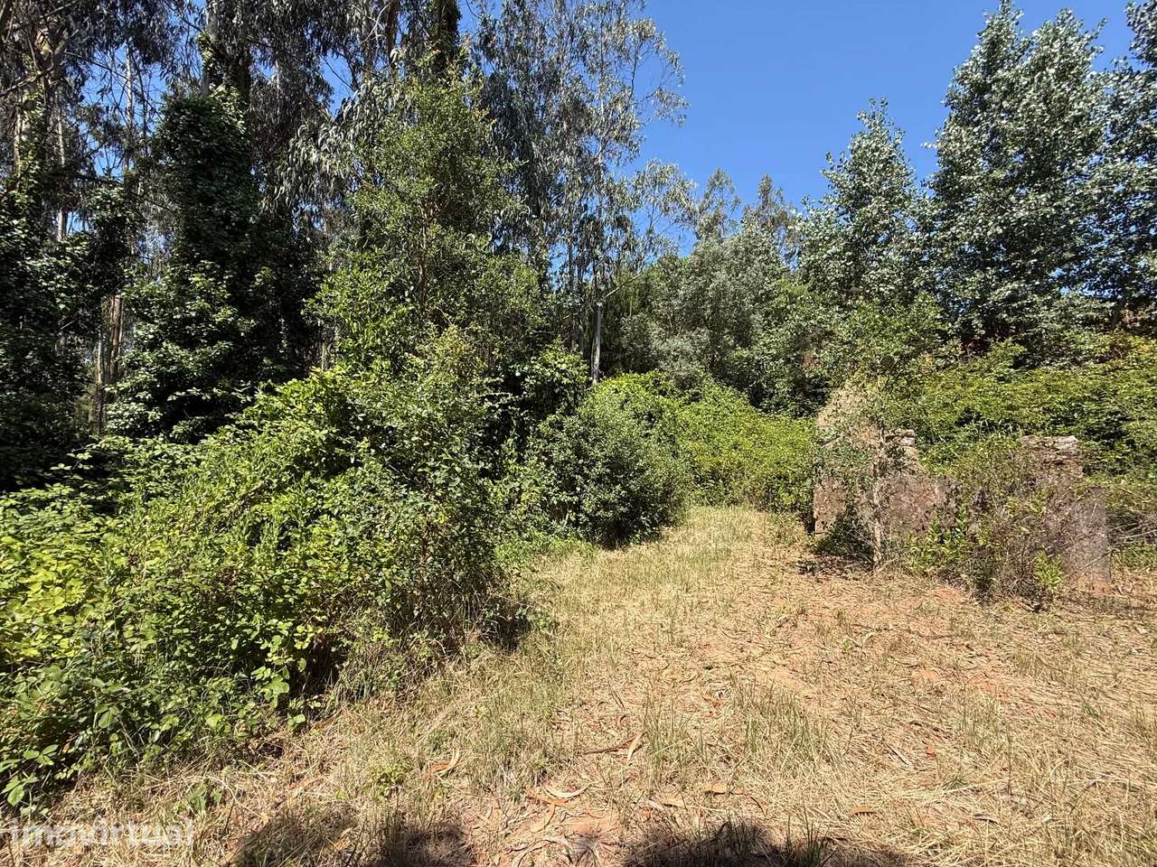 Refúgio rural isolado! Terreno de 3.920 m2 com ruína - a 10 min Óbidos - Grande imagem: 4/10