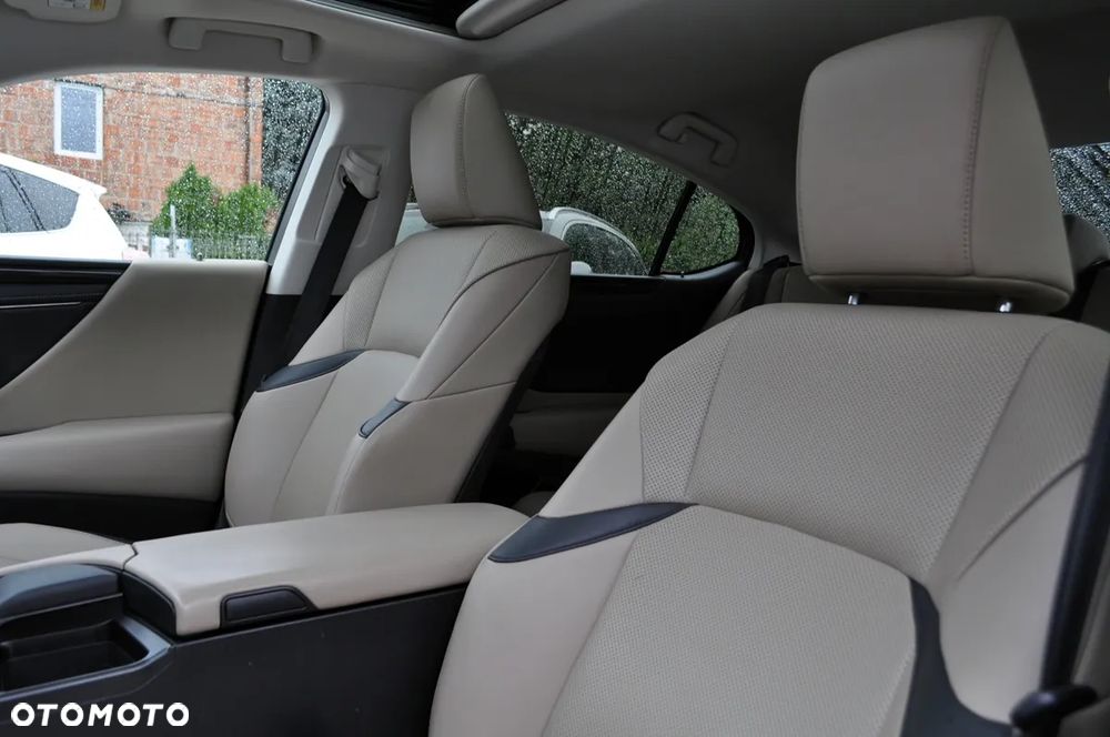 Lexus ES 300h Business Edition + - 19
