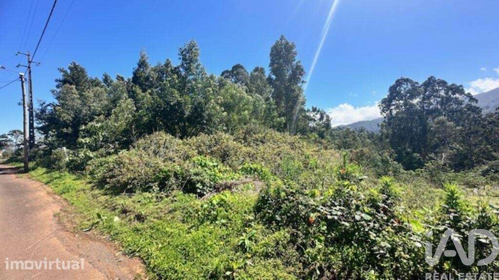 Terreno para construção em São Jorge de 1520,00 m2 - Grande imagem: 4/9