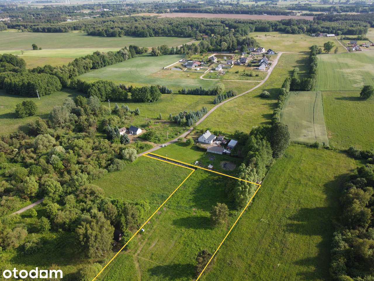 Działka budowlana 9 209 m² | Nekla | warunki zabudowy | prywatny las | - Pełny obrazek: 4/6