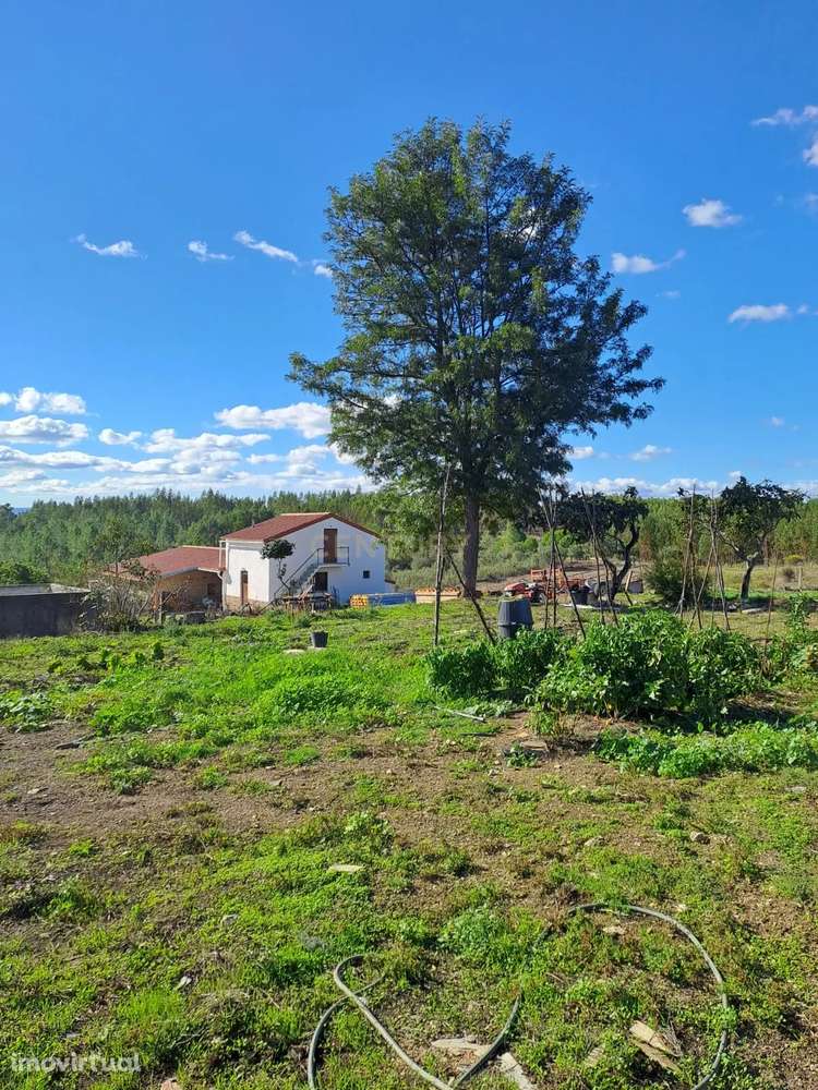 Quinta com 71280 m2  em Palvarinho, Castelo Branco - Grande imagem: 4/27