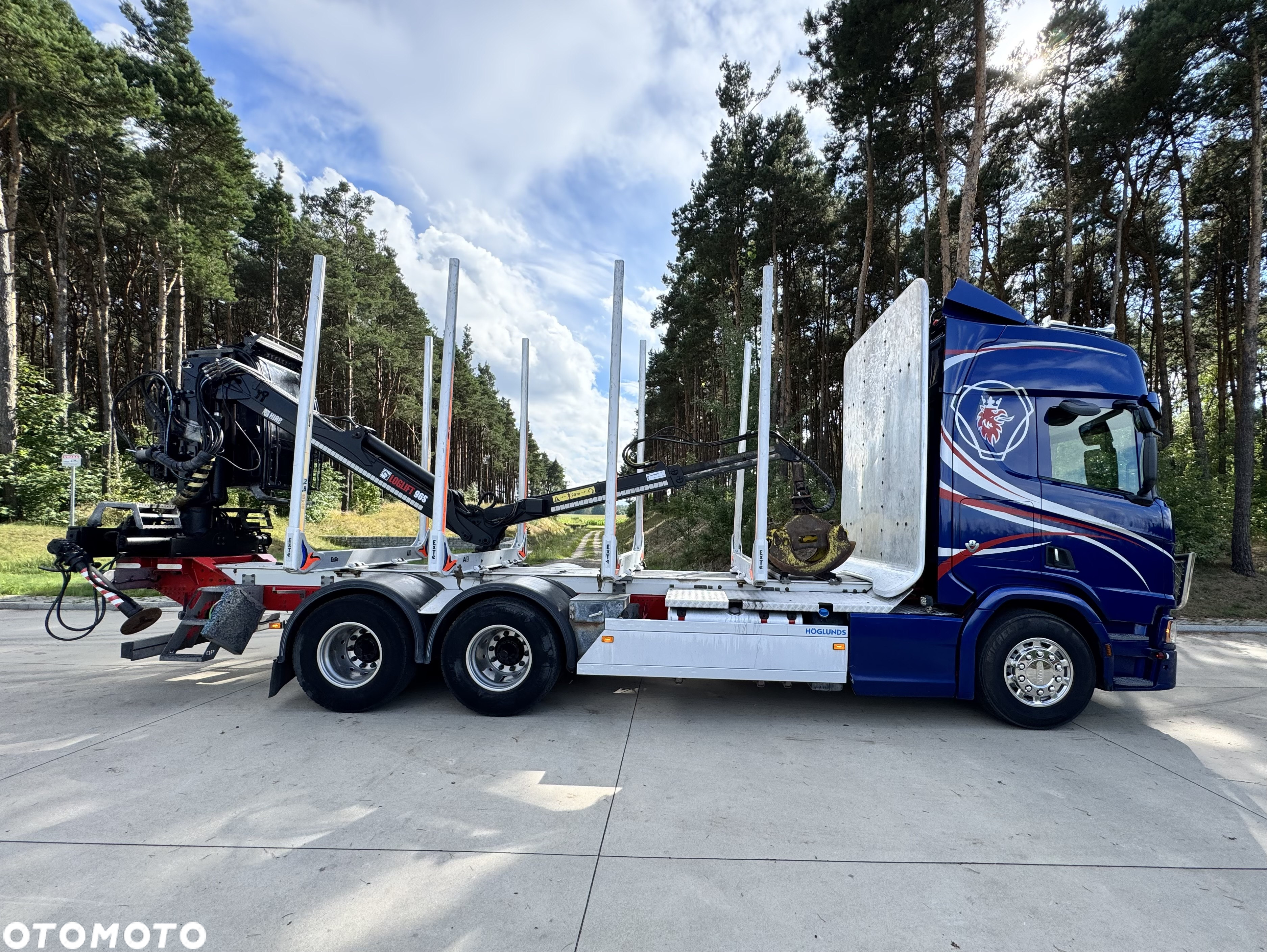 Scania R650 V8 NG DO DREWNA DO LASU - 8
