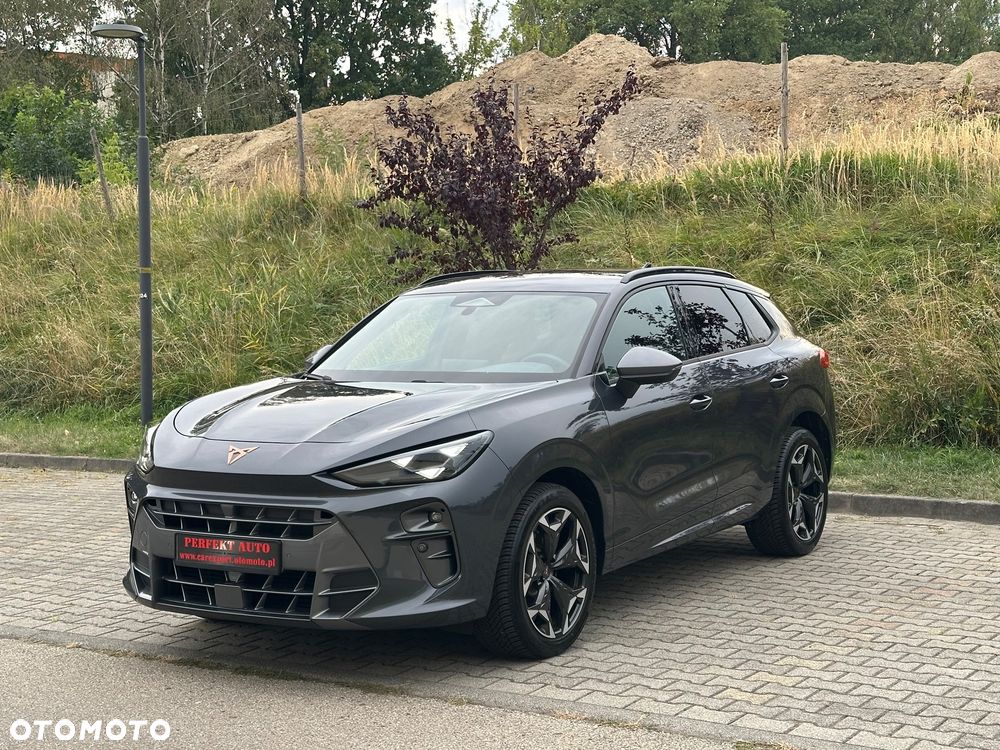 Cupra Terramar 2.0 TSI 4Drive DSG VZ - 2