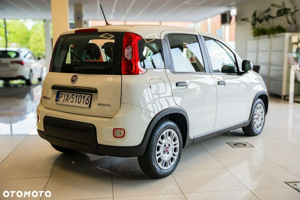 Fiat Panda - 6