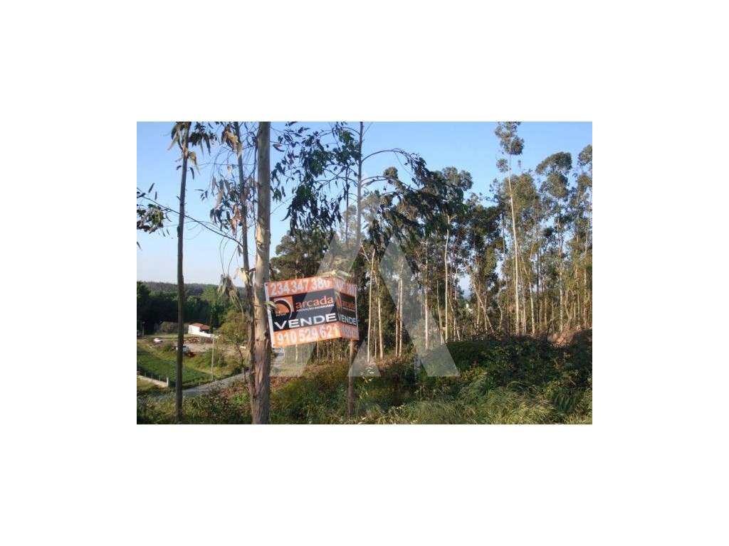 Terreno - Grande imagem: 5/5