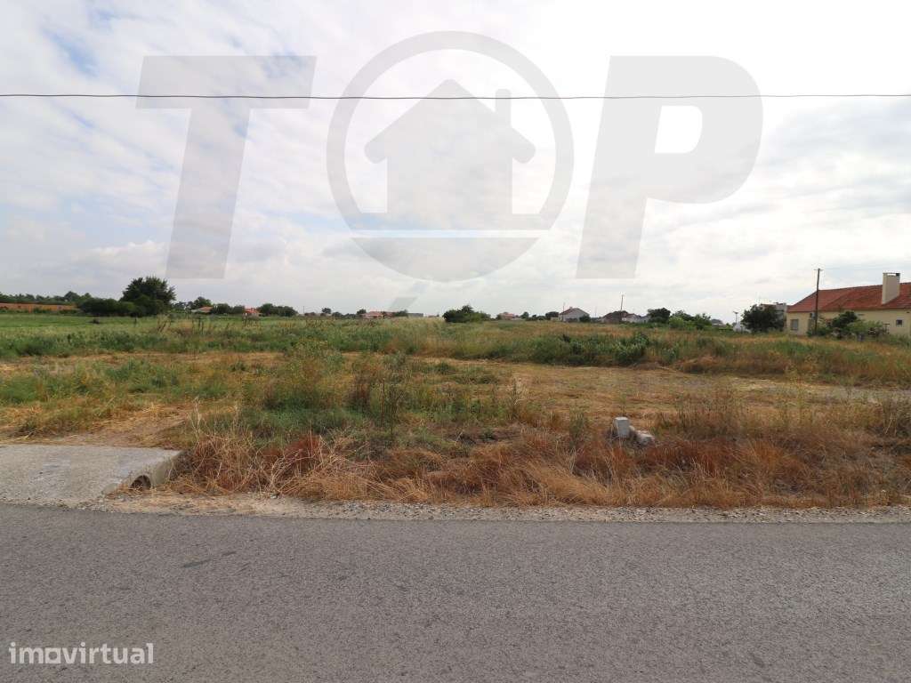 Terreno com 5600m2 para construção de 2 Moradias - Foros de Salvate... - Grande imagem: 2/2