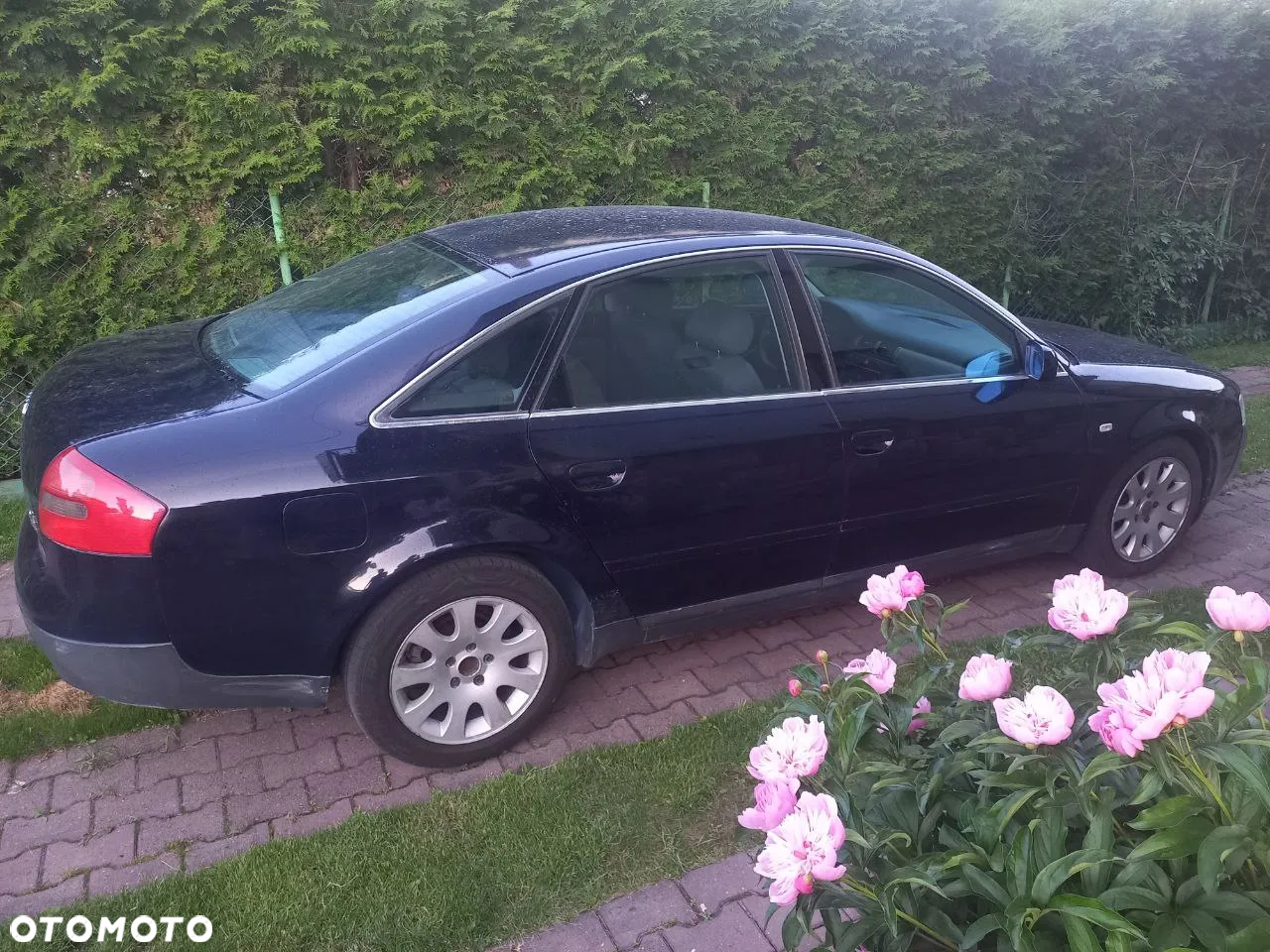 Audi A6 - 3