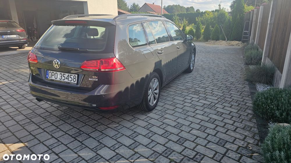 Volkswagen Golf - 9