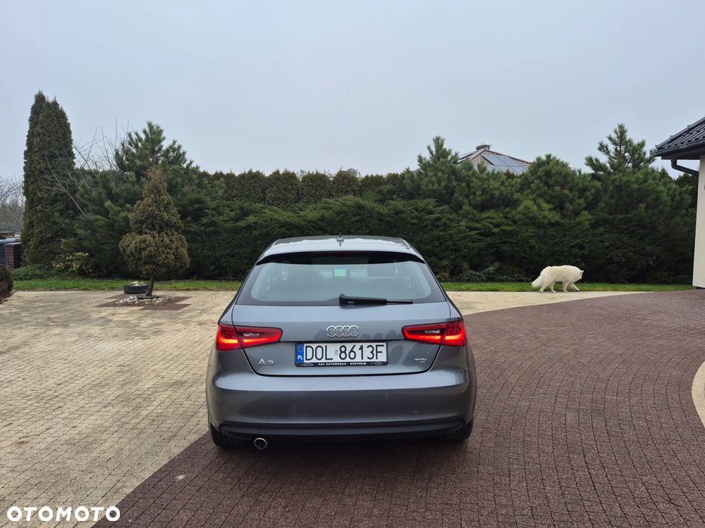 Audi A3 3-drzwiowe 1.6 TDI Ambition - 6
