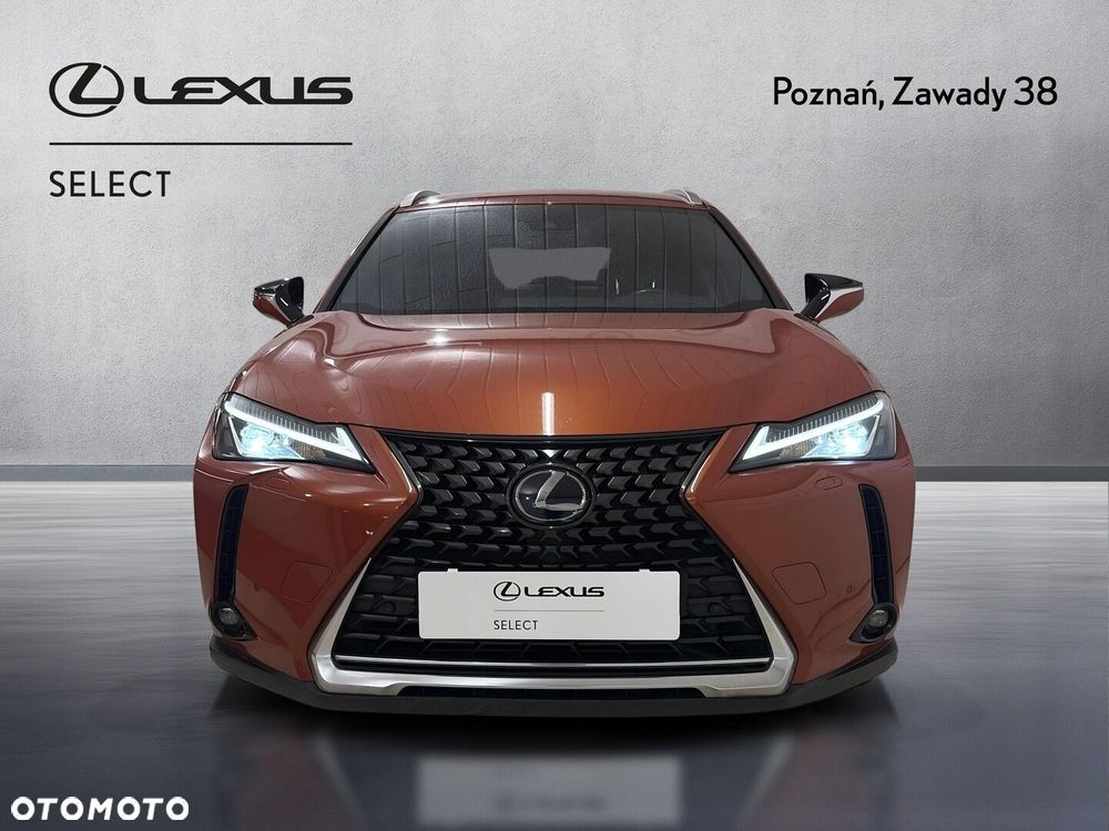 Lexus UX 250h GPF Business Edition 2WD - 7