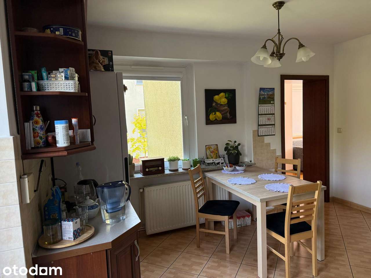 Mieszkanie 3 pokojowe Zacisze, parter , taras