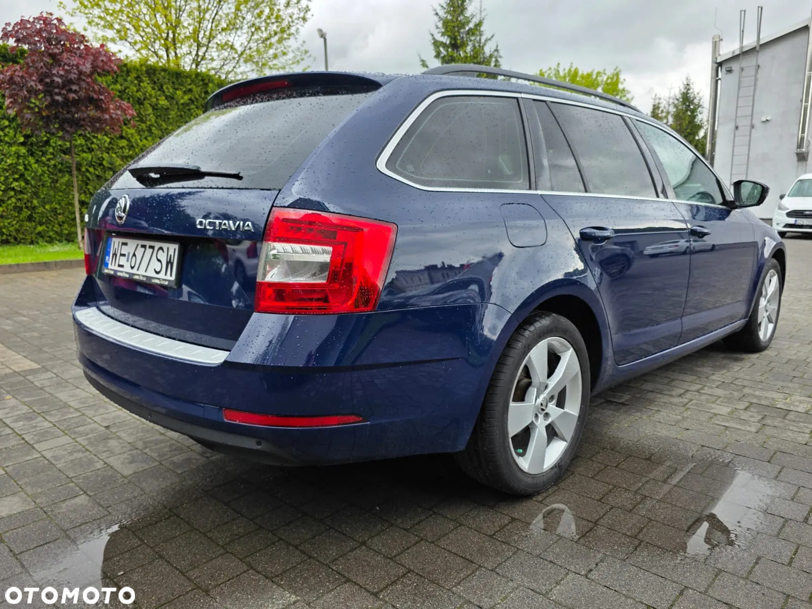 Skoda Octavia - 7