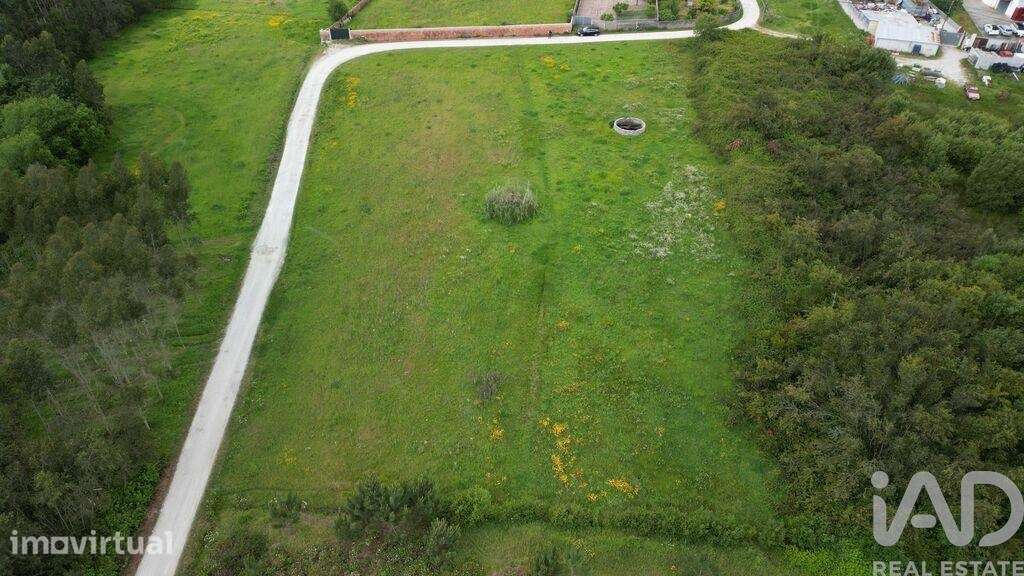 Terreno Agrícola em Vagos e Santo António - Grande imagem: 2/10