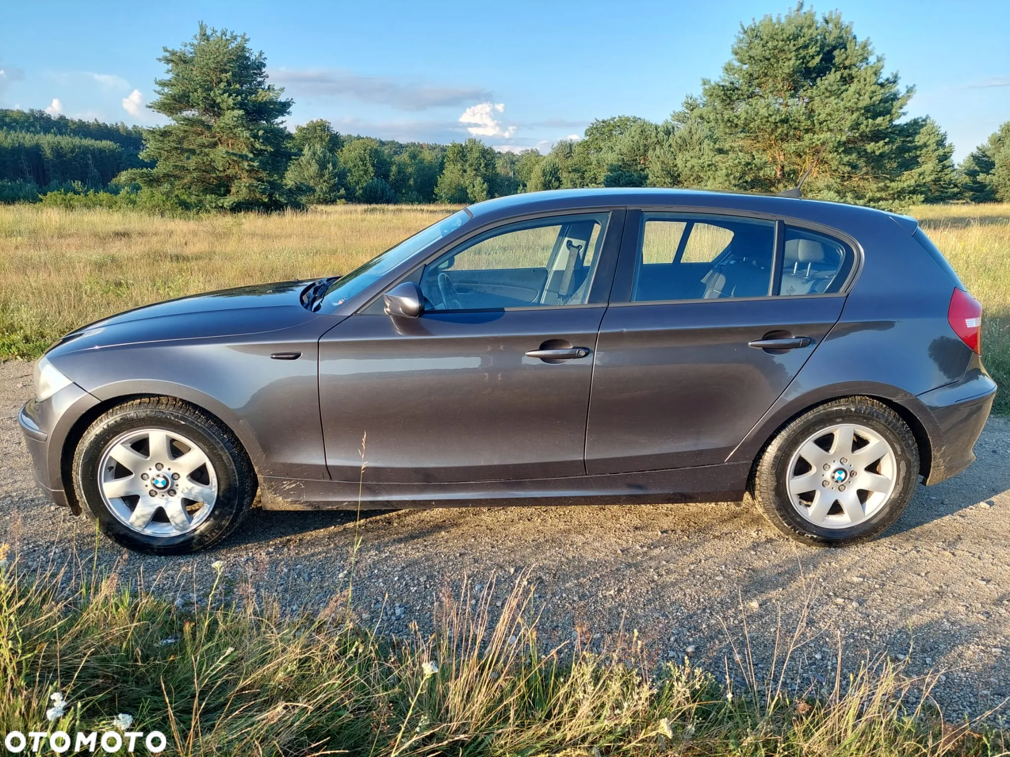 BMW Seria 1 116i - 5