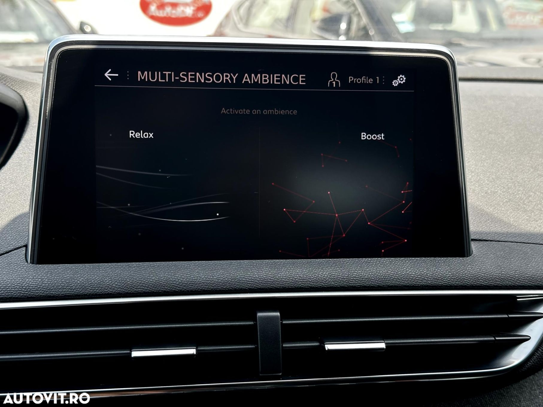 Peugeot 3008 - 17
