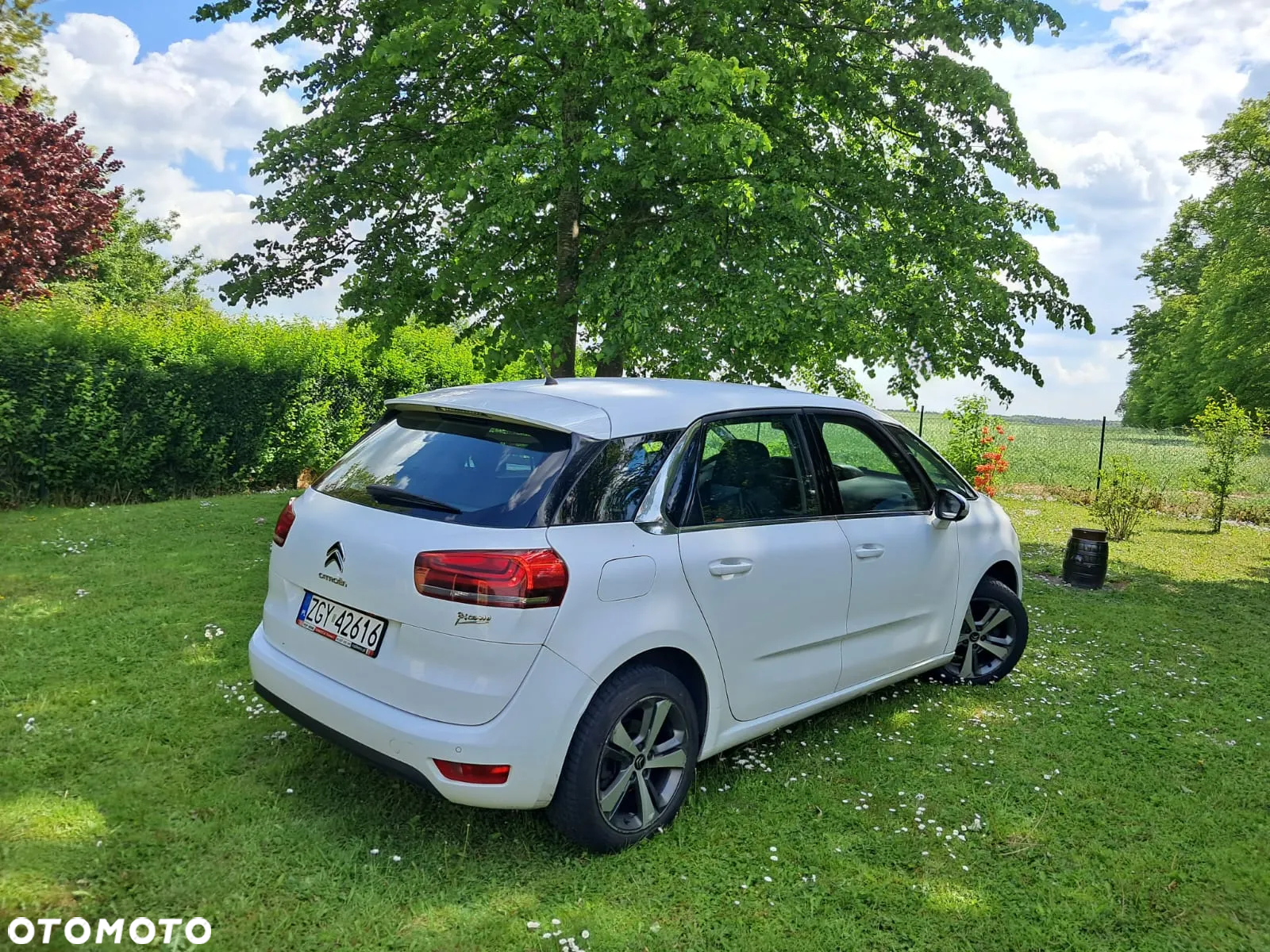 Citroën C4 Picasso 1.2 PureTech Attraction - 3