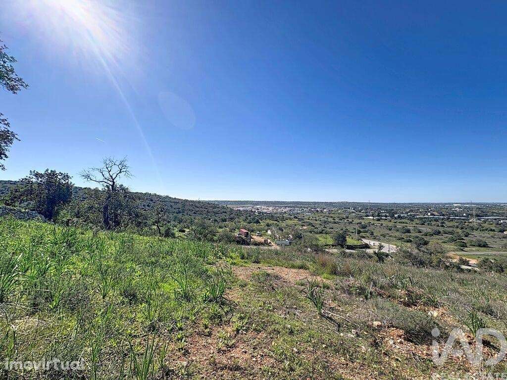 Terreno Agrícola em Algoz e Tunes - Grande imagem: 3/12