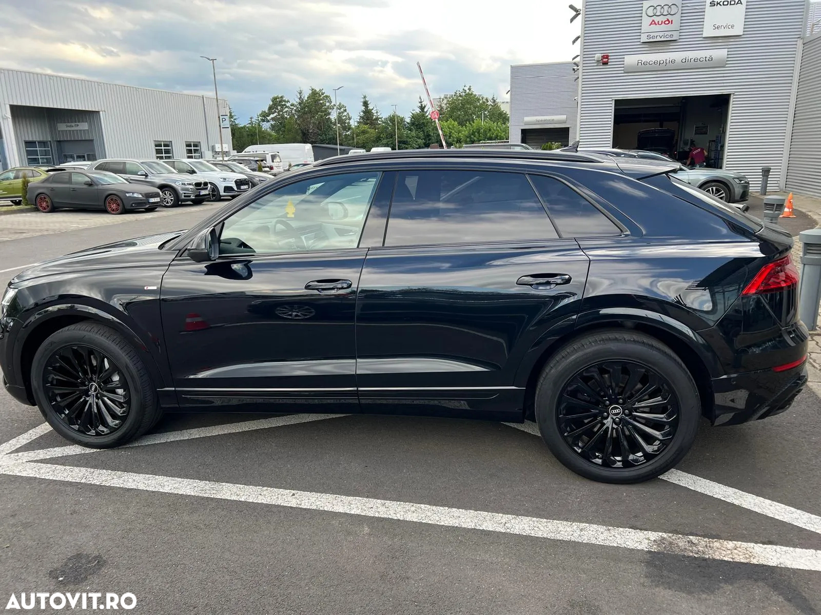 Audi Q8 3.0 50 TDI quattro Tiptronic MHEV - 2