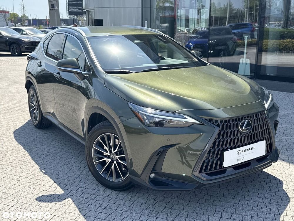 Lexus NX - 21