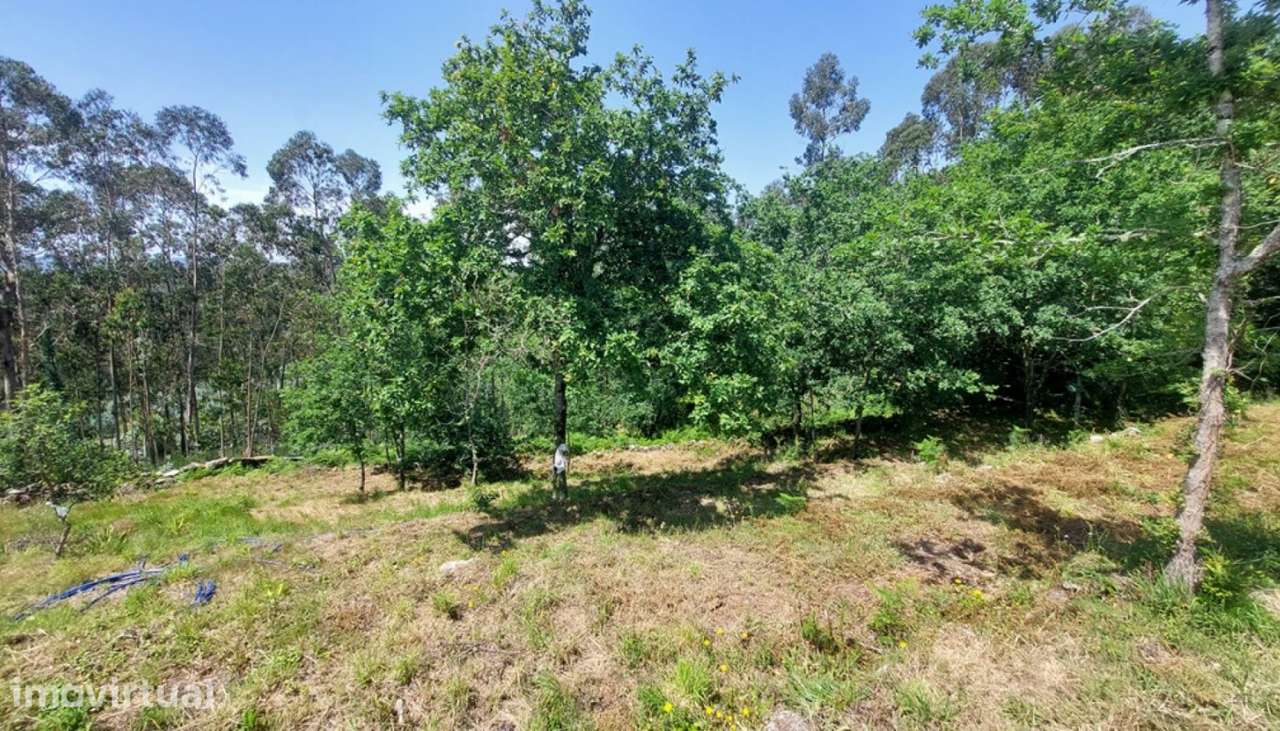 Venda de terreno para construção, Vila de Punhe, Viana do Castelo - Grande imagem: 5/30
