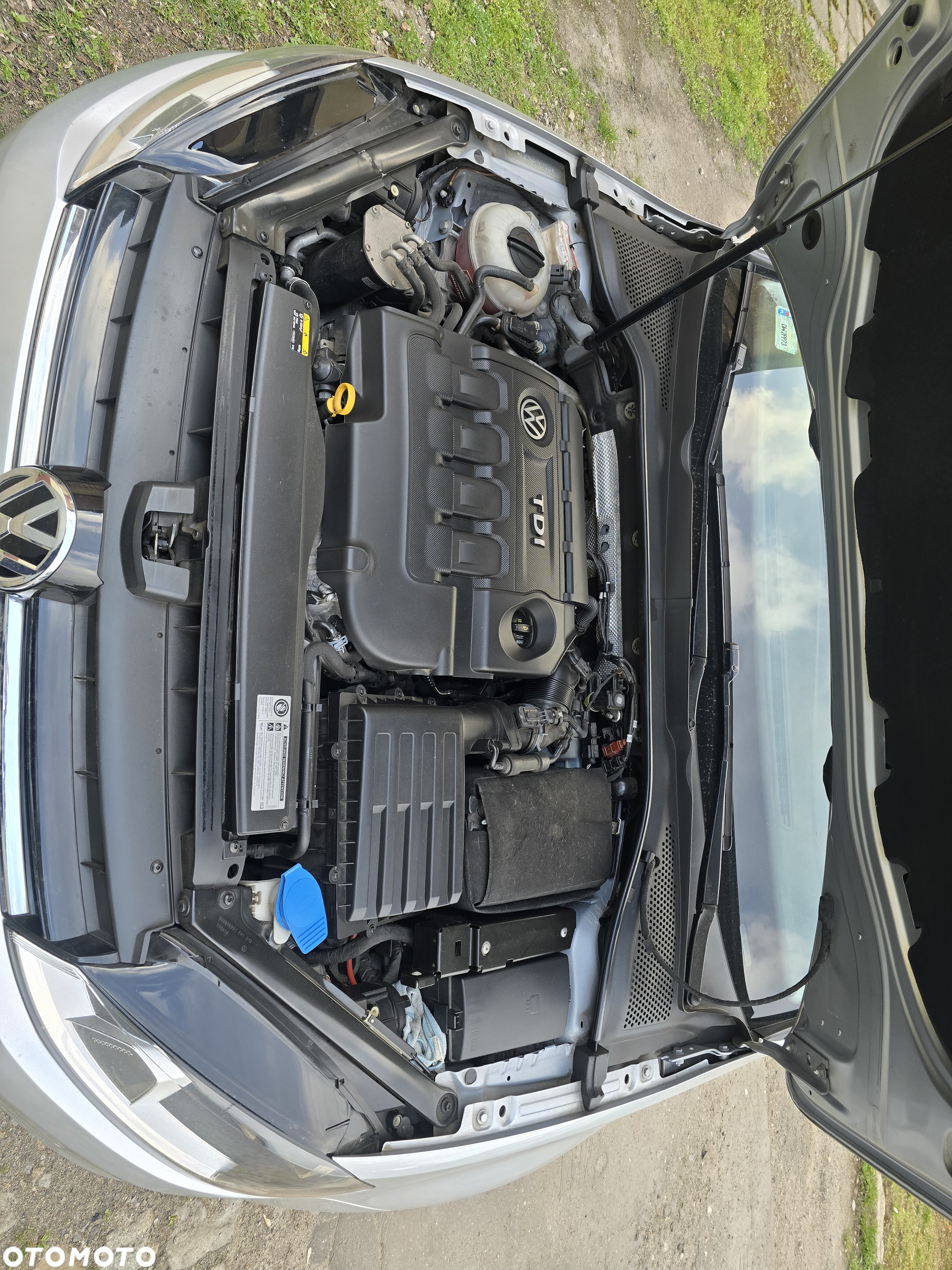 Volkswagen Golf VII 1.6 TDI BMT Comfortline - 15