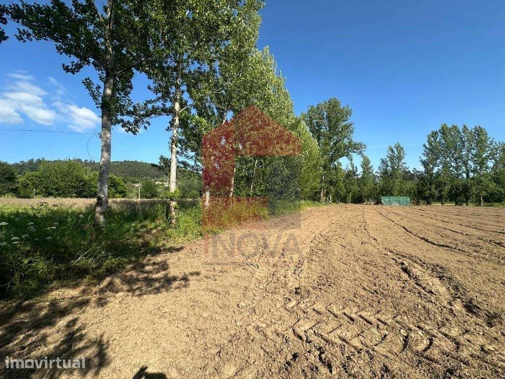 Terreno agrícola, Carreiras São Miguel - Grande imagem: 4/25