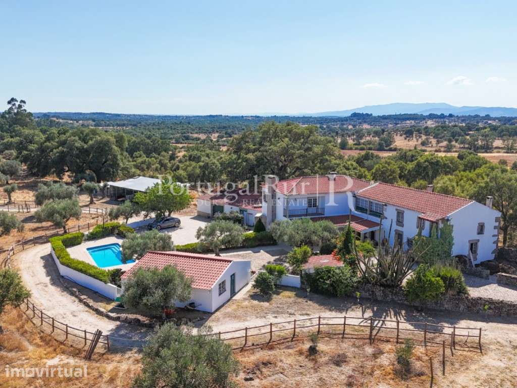 Quinta Equestre com 5 Hectares e Olival Tradicional na Beira Baixa - Grande imagem: 3/57