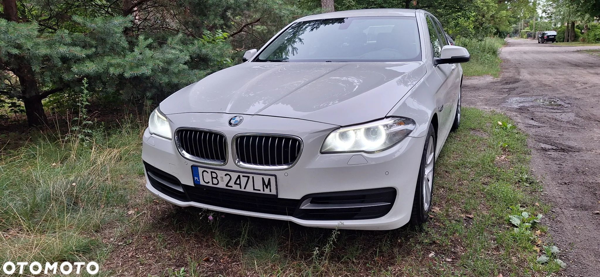BMW Seria 5 - 1