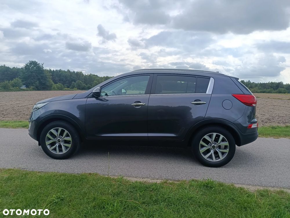 Kia Sportage - 6