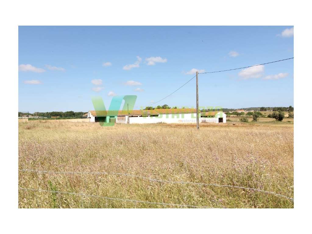 Terreno com Ruinas, 20 Hectares Área, Odiáxere. - Grande imagem: 2/8