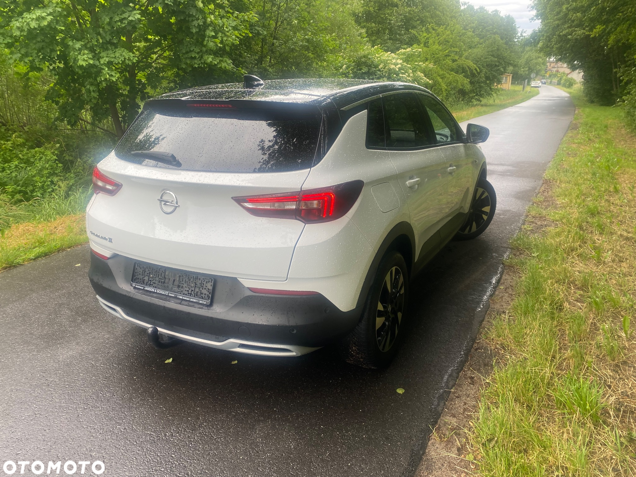 Opel Grandland X 2.0 D Start/Stop Automatik Design Line - 19