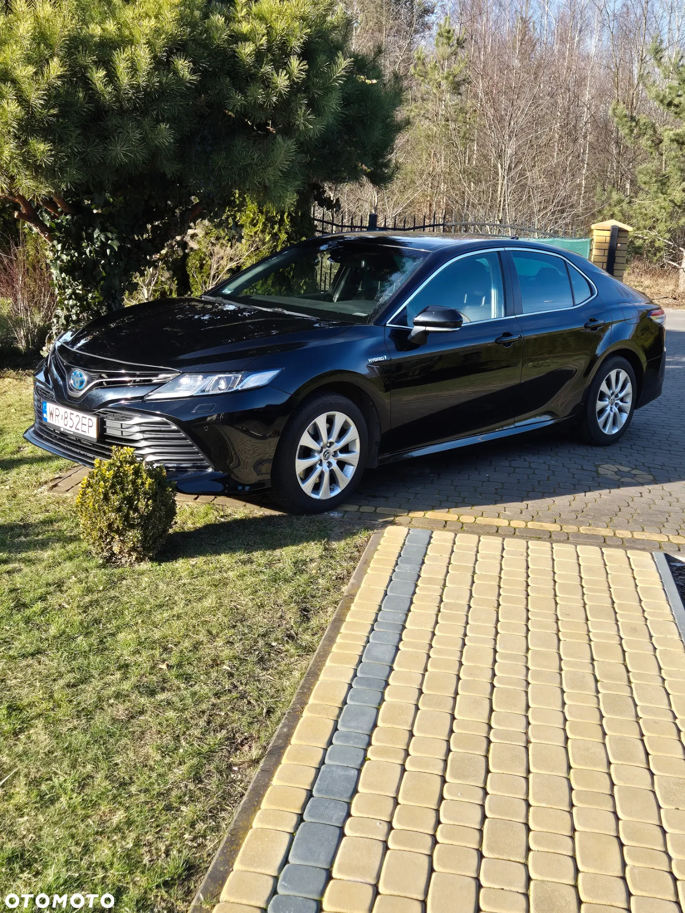 Toyota Camry - 4