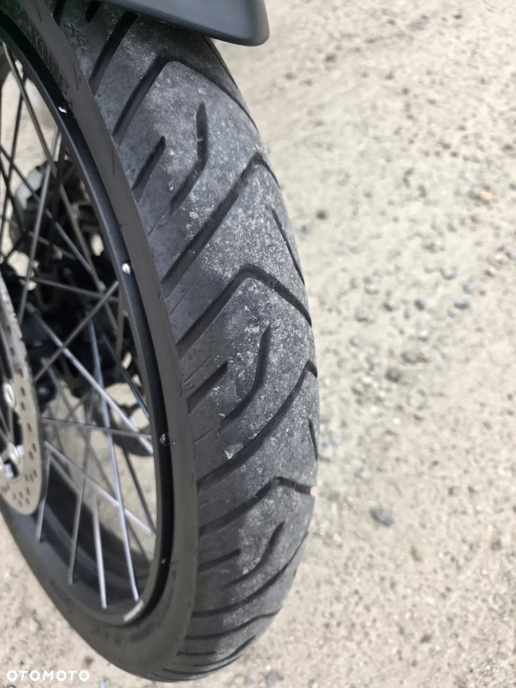 Triumph Tiger - 2