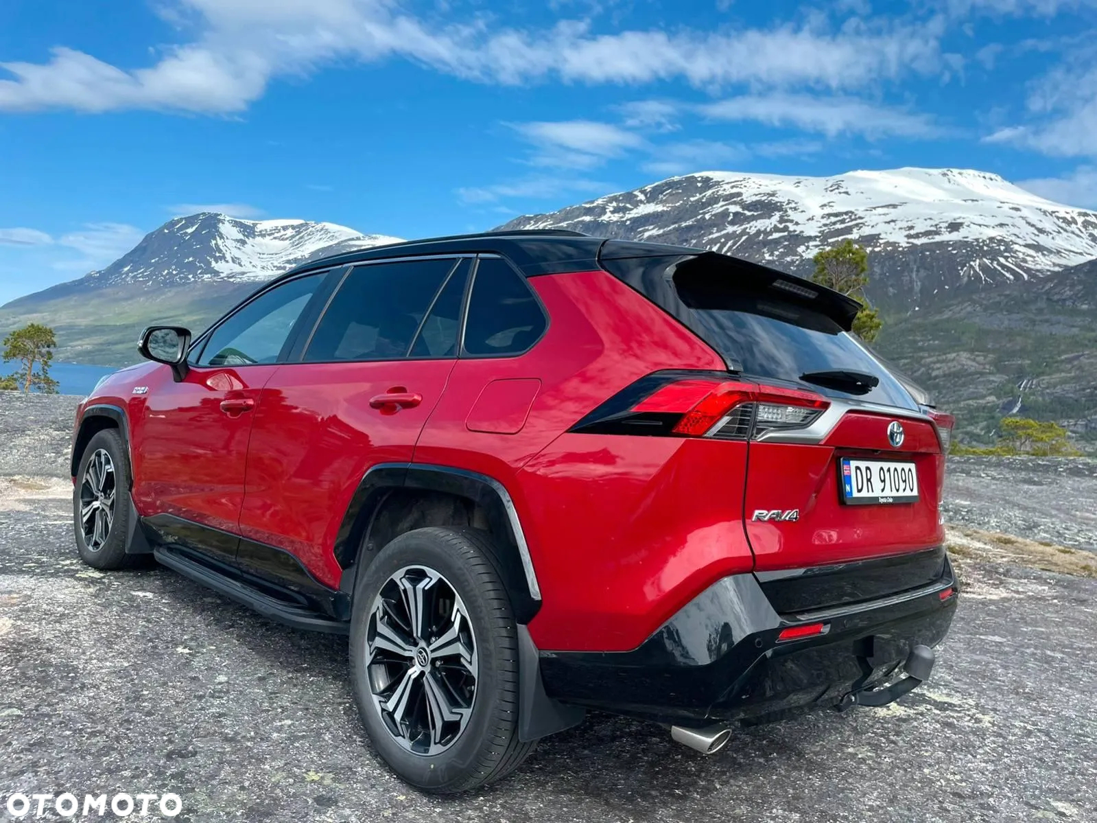 Toyota RAV4 2.5 Plug-In Hybrid Executive 4x4 - 5