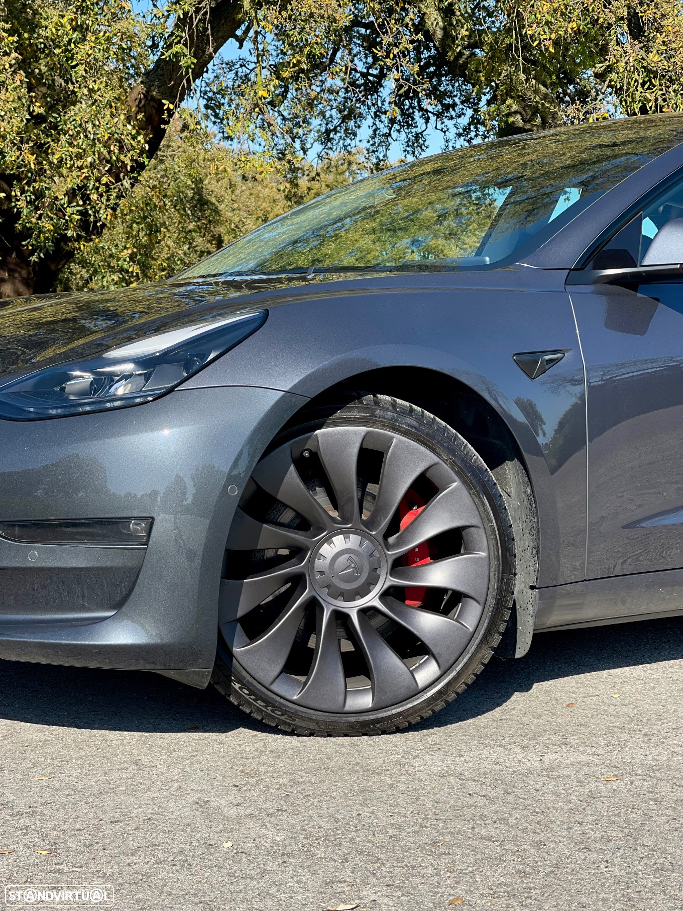 Tesla Model 3 Performance Dual Motor AWD - 2