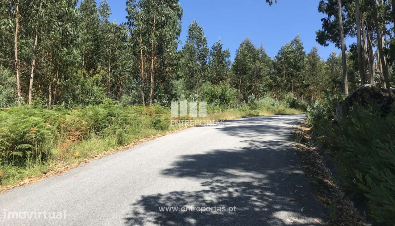 Terreno de construção para venda, Vilarelho, Caminha - Grande imagem: 3/5