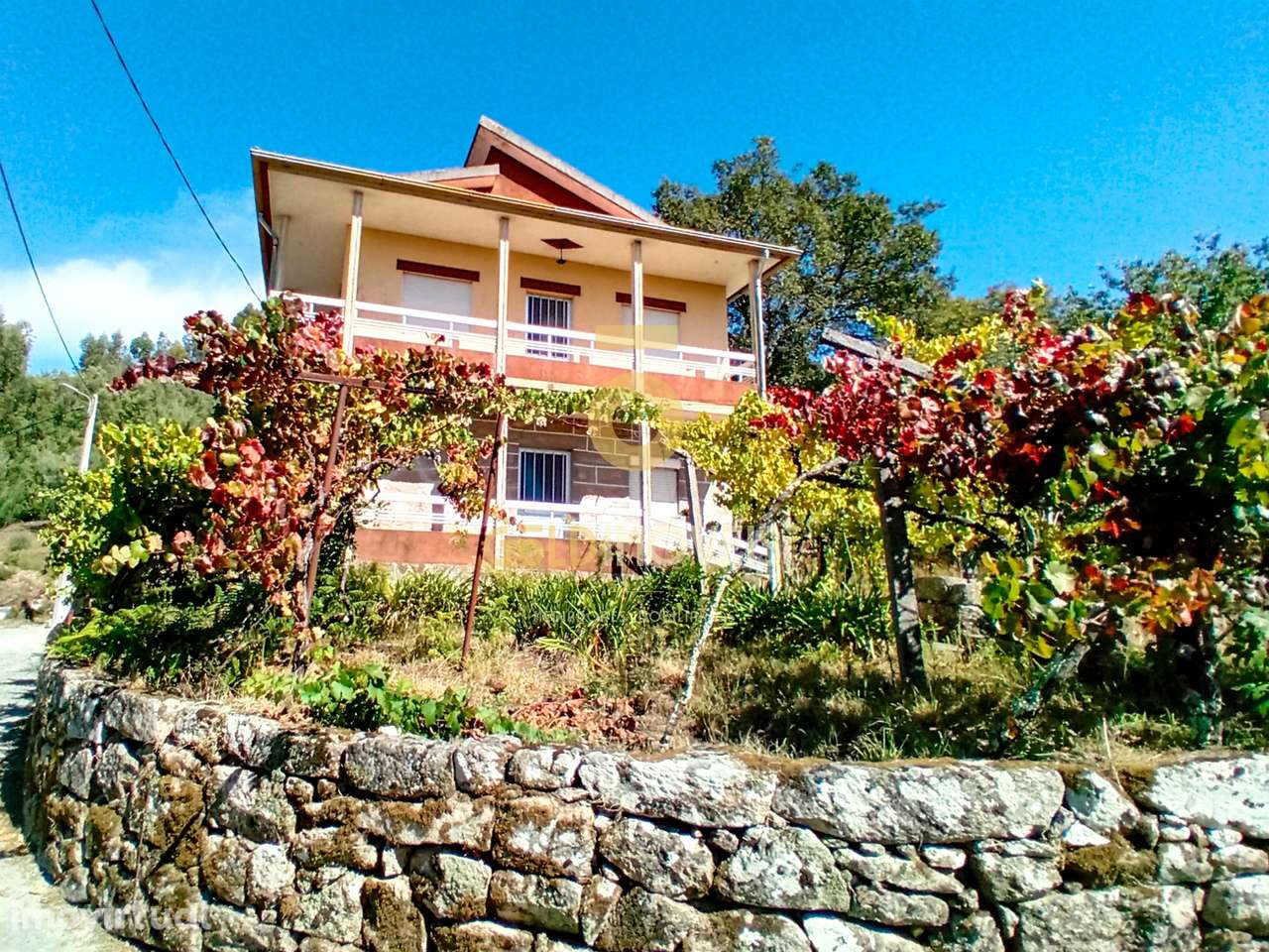 Moradia T4 Venda em Espadanedo,Cinfães - Grande imagem: 4/46