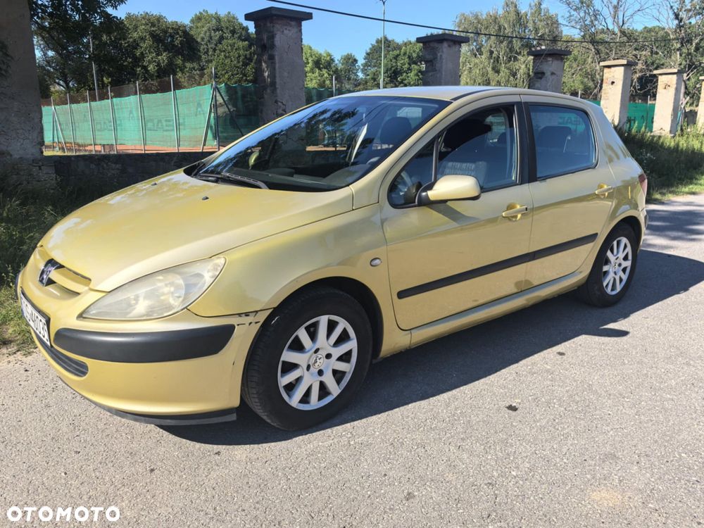 Peugeot 307 - 8