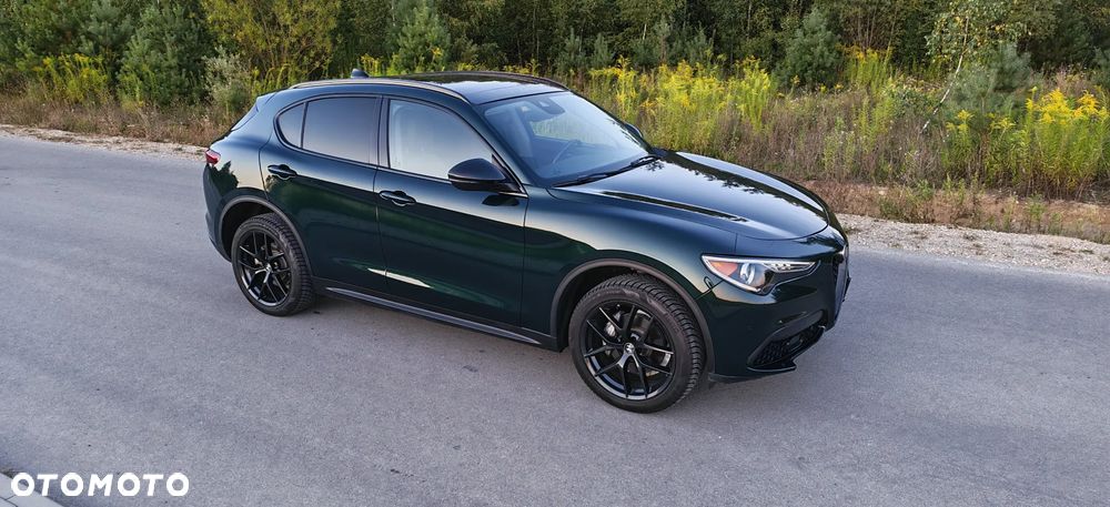 Alfa Romeo Stelvio - 5