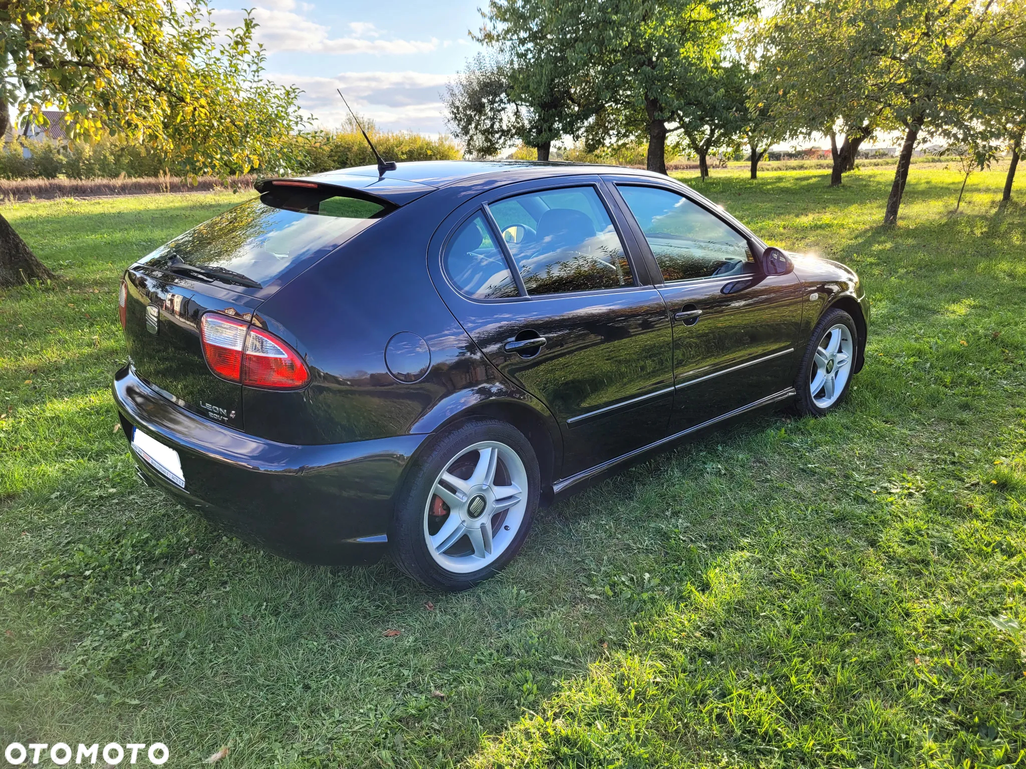 Seat Leon 1.8T Top Sport 4x4 - 13
