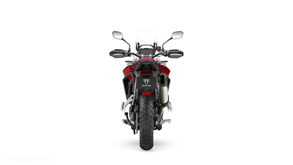 Triumph Tiger - 11