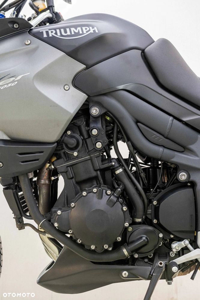 Triumph Tiger - 13