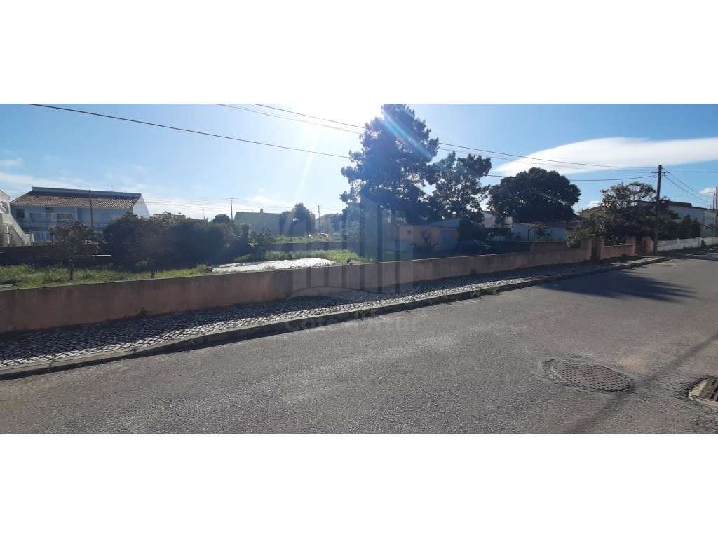 O Lugar Ideal para a Sua Futura Moradia no Pinhal do General - Grande imagem: 4/14