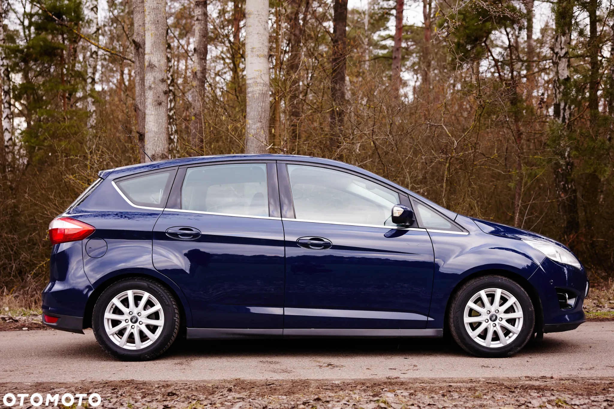 Ford C-MAX 2.0 TDCi Champions Edition - 8