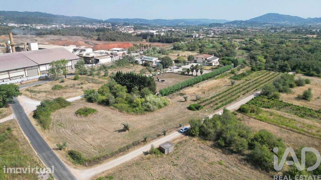 Terreno Agrícola em Cumeeira - Grande imagem: 3/23