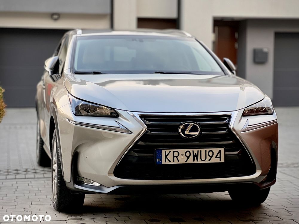 Lexus NX 300h Prestige AWD - 19