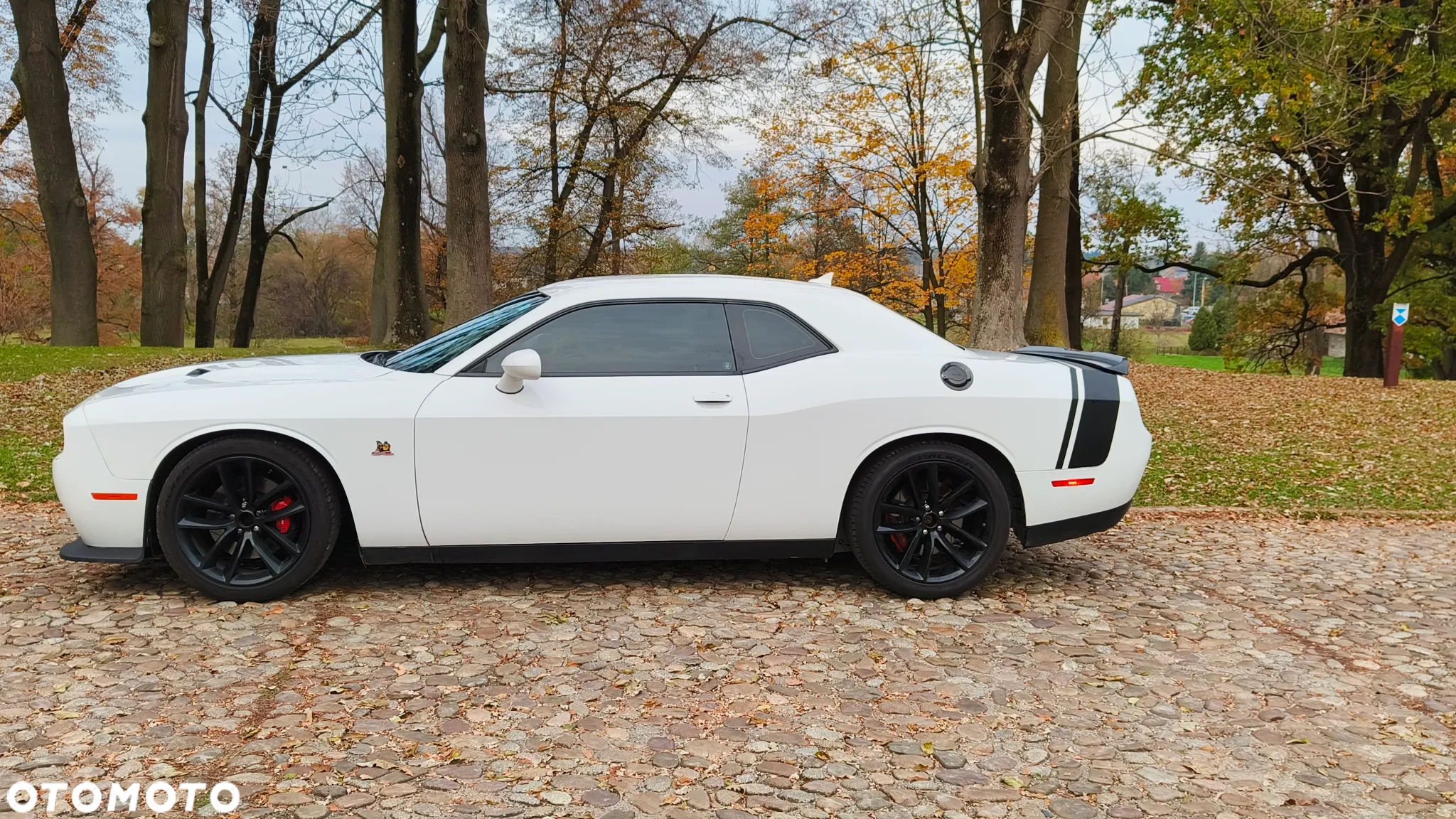 Dodge Challenger Automatik R/T Plus Scat Pack - 13