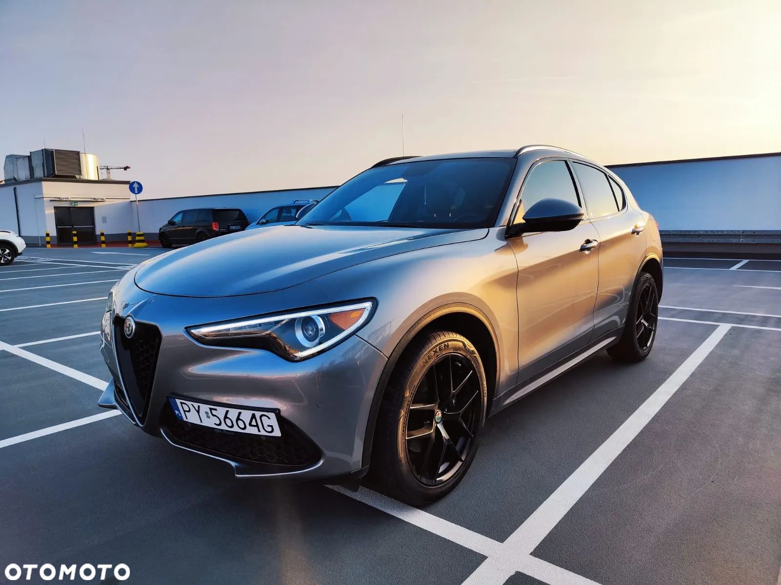 Alfa Romeo Stelvio 2.0 Turbo Veloce TI Q4 - 1