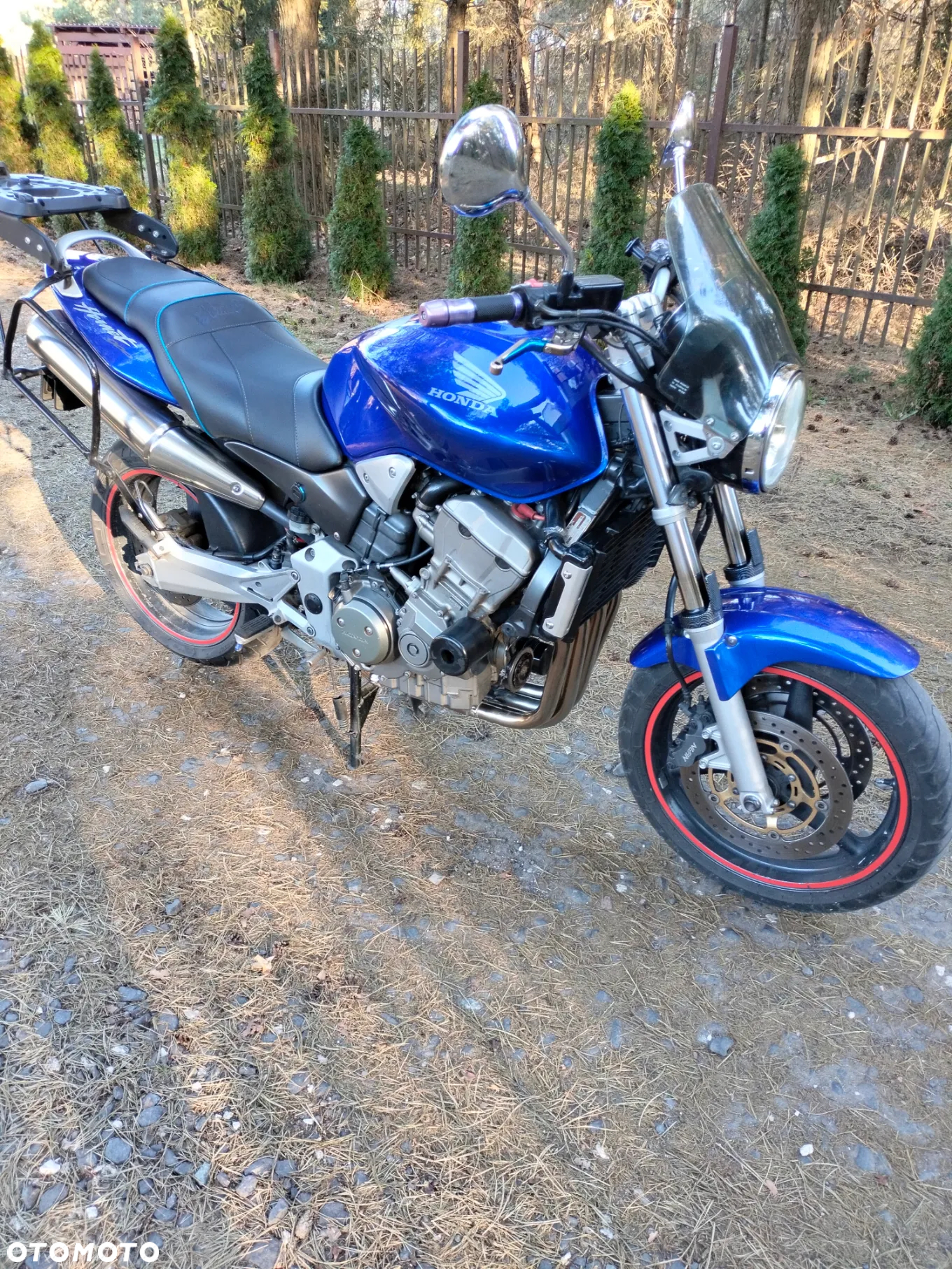 Honda Hornet - 2