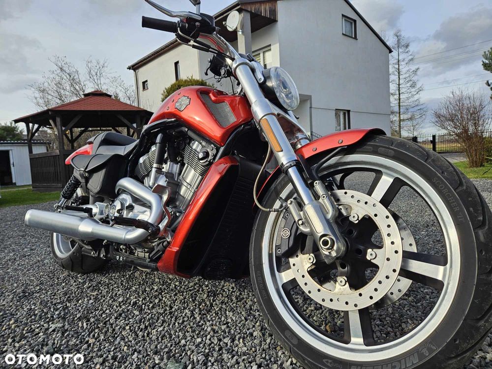 Harley-Davidson V-Rod Muscle - 2